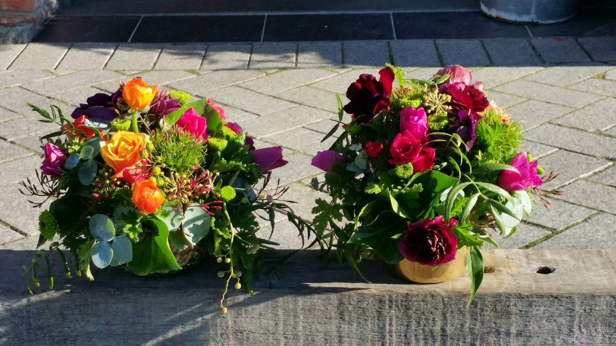 MrsBottomleyNZ's tweet photo. Another crisp winter's day! A little something to make you smile. https://t.co/SZLSD29sbk