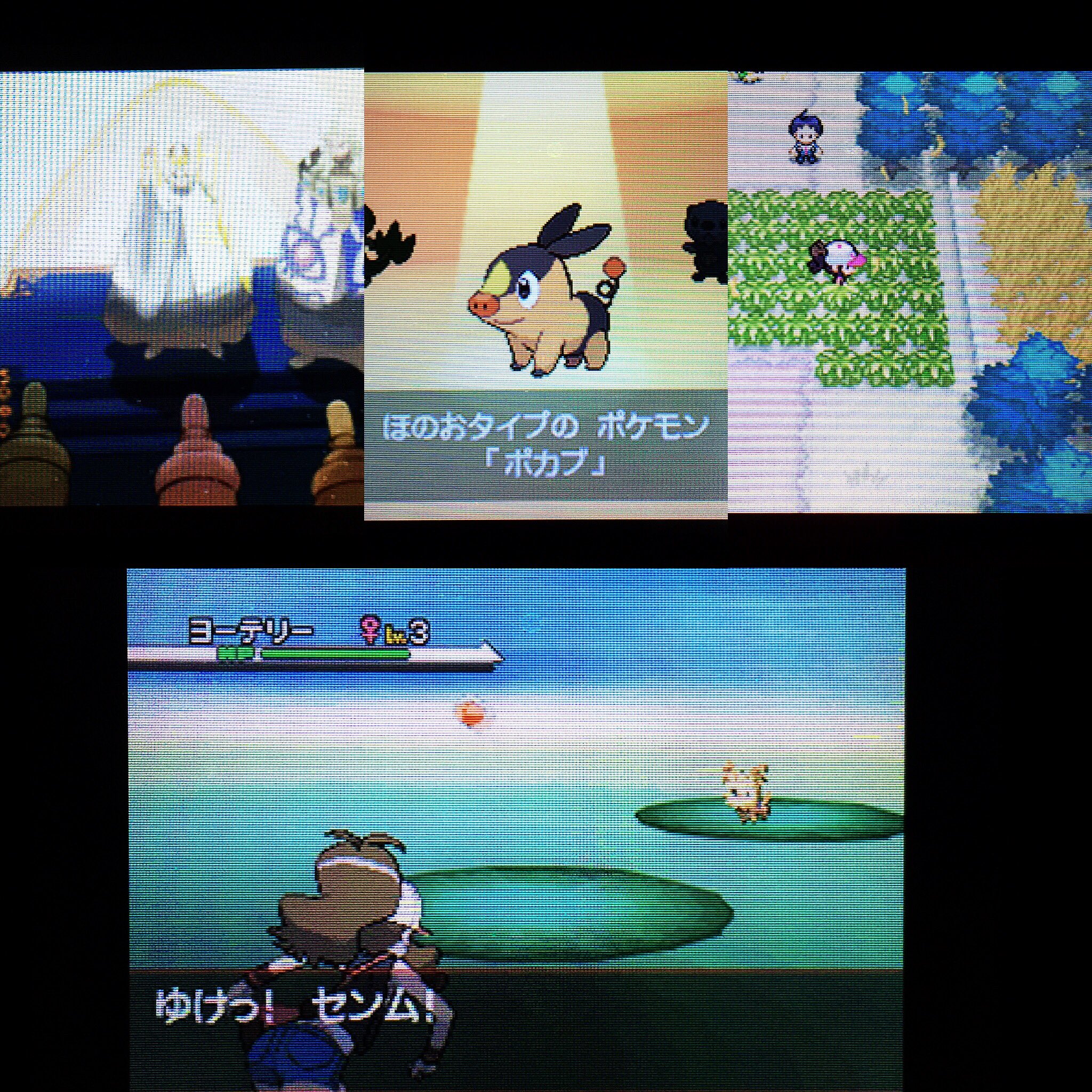 تويتر ゲーム専務 Mycryptoheroes على تويتر ポケモンgoやってると本家もやりたくなるのでホワイト引っ張り出して 最初から Yもあるけど図鑑完成データ消すのは勿体無い気分に 実はデータ移行のために買ったので初プレイだったりします ホワイト だしたまには