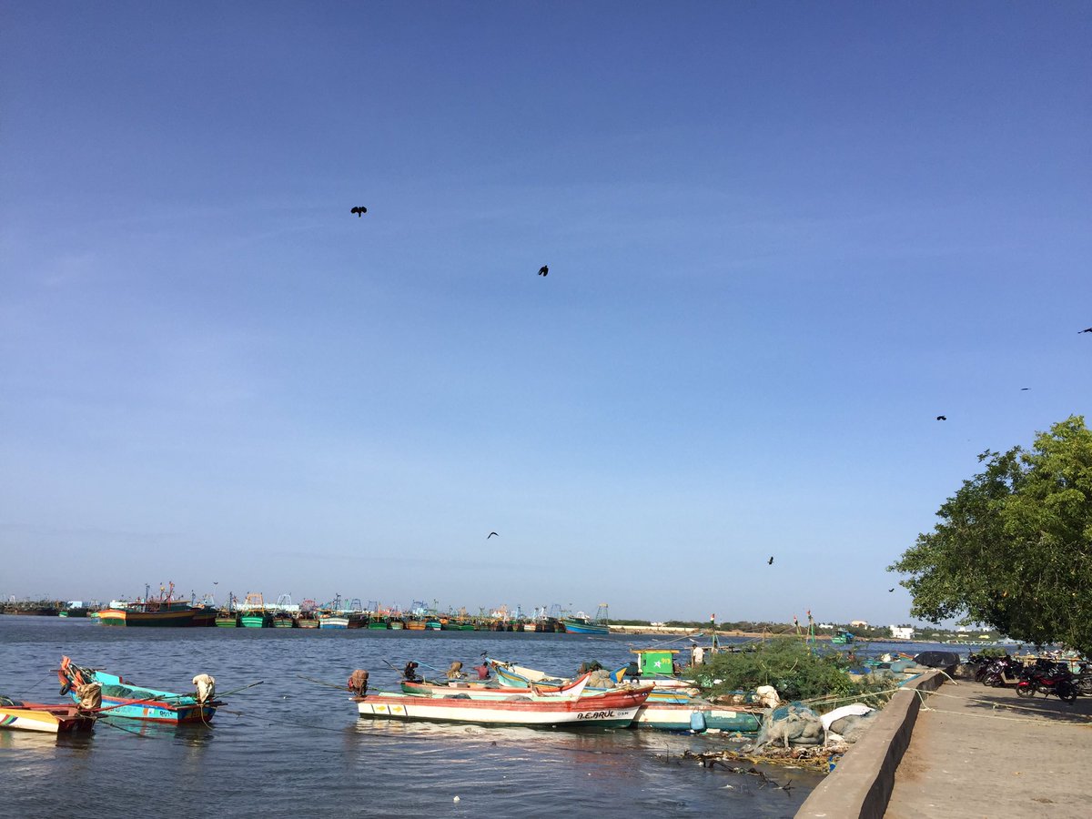thekiranbedi's tweet photo. Karaikal (a region of Puducherry) with its Harbour,Mangroves,(after Tsunami 2004) Metrological Bldg+Plenty to do.. https://t.co/xV0Cq8hJgK