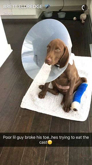 Poor Edgar :( Hopefully he'll be all healed up soon!!!