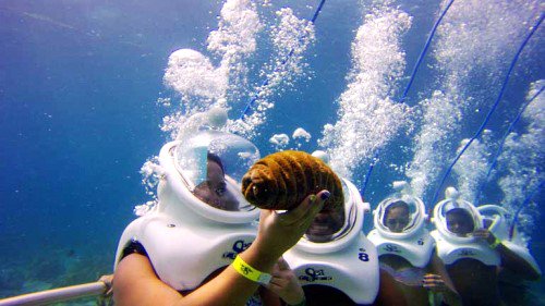 Image result for cu lao cham