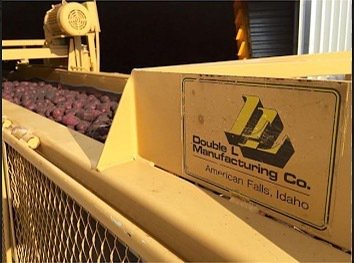 DoubleLGlobal's tweet image. @kroekerfarms is using #DoubleL to move #earlymarket #redpotatoes! #harvest2016 #harvest #… ift.tt/2b0SCUI