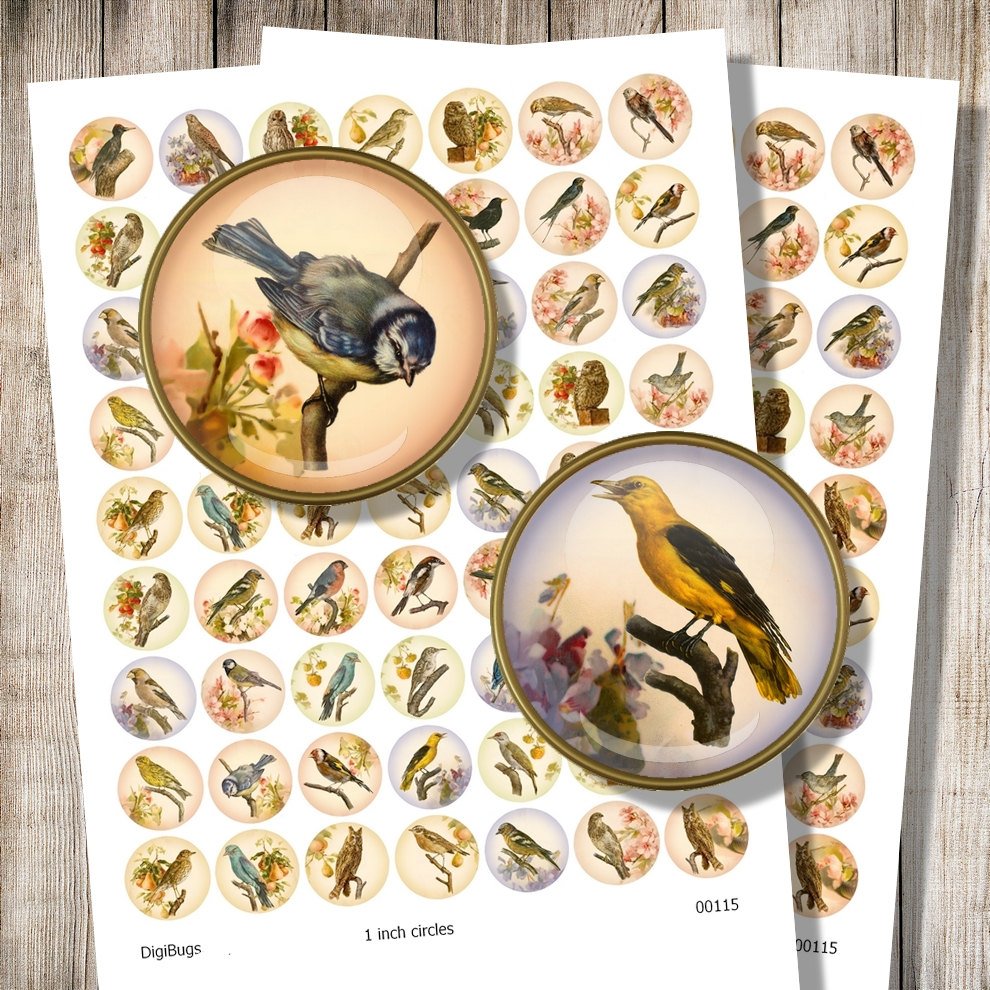 Round Bird Images, Digital Collage Sheet, 38, 32, 25, 20mm Cir… tuppu.net/ba76efdb #DigiBugs #BirdIllustrations