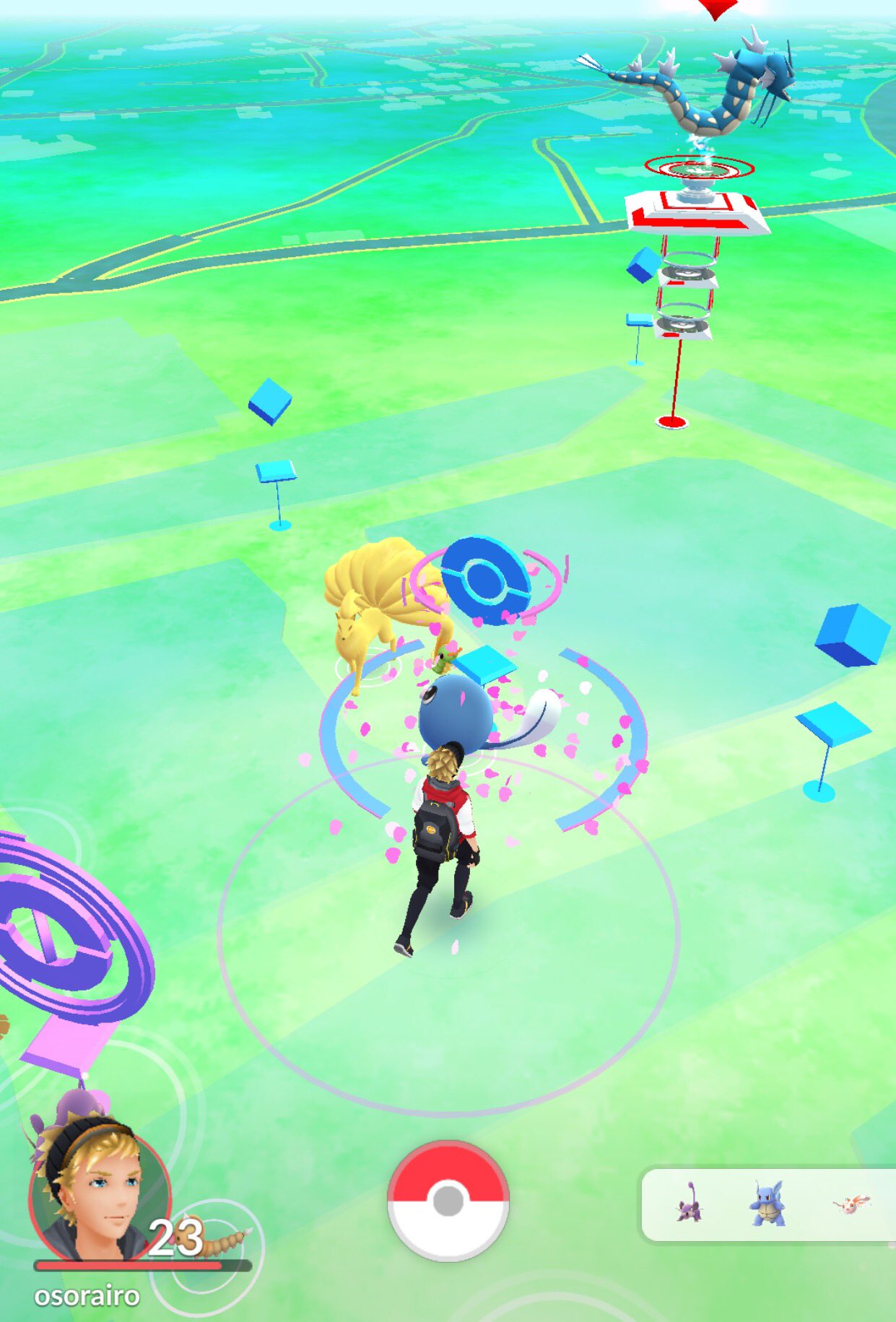 埼玉南部でポケモンgo そら Pokemonosorairo Twitter