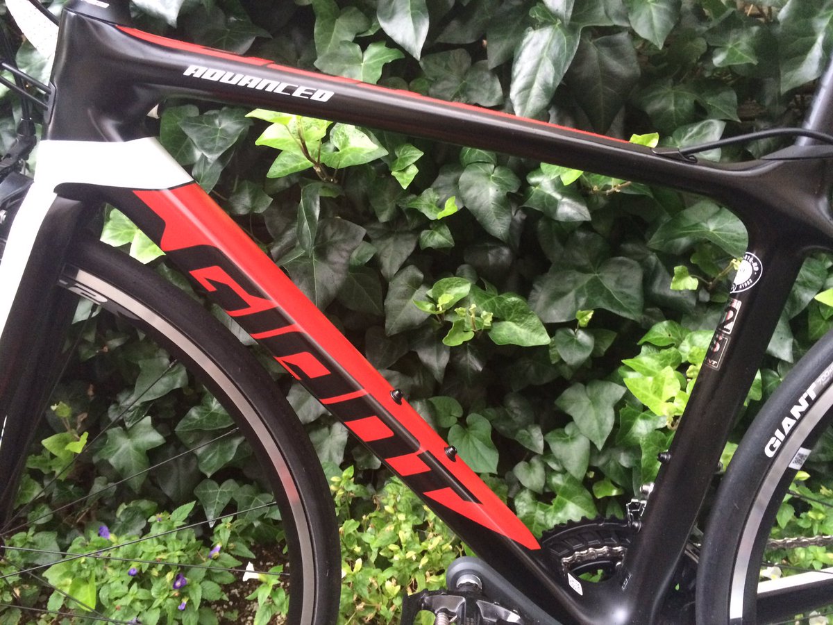 donnell_miller's tweet photo. 納車ァァァァァァアッッッタルァァァア!!!!!!
#GIANT #TCR #ADVANCED2 https://t.co/97hBG5OTfL