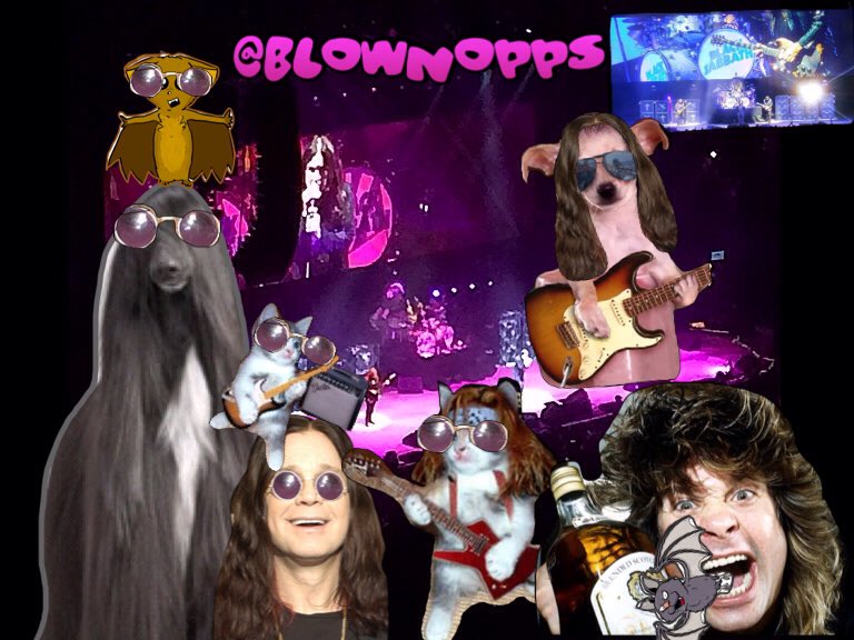 blownopps's tweet image. When u r @ the final #BlackSabbath Concerts &amp;amp; realize u may have overdone it a bit letting out your inner Ozzie