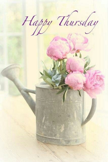 UoC Learning Disability Nursing tweet media