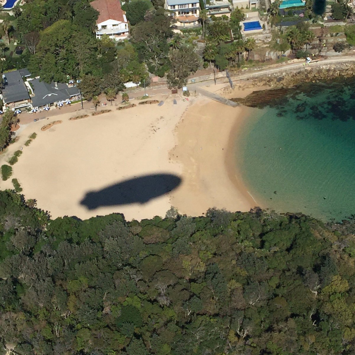 appliancesAU's tweet image. This is #Blimpy, requesting to buzz the beach. 
#ShelleyBeach 
#FindDanHill #stillsearching @thatdanhill