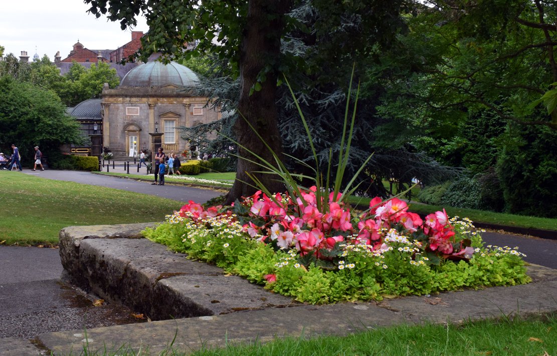 mousey3211's tweet image. #valleygardens #Harrogate @Enjoy_Harrogate @moreHarrogate @WeAreHarrogate @RHSHarlowCarr  @FOVG1 @YorkshireBloom