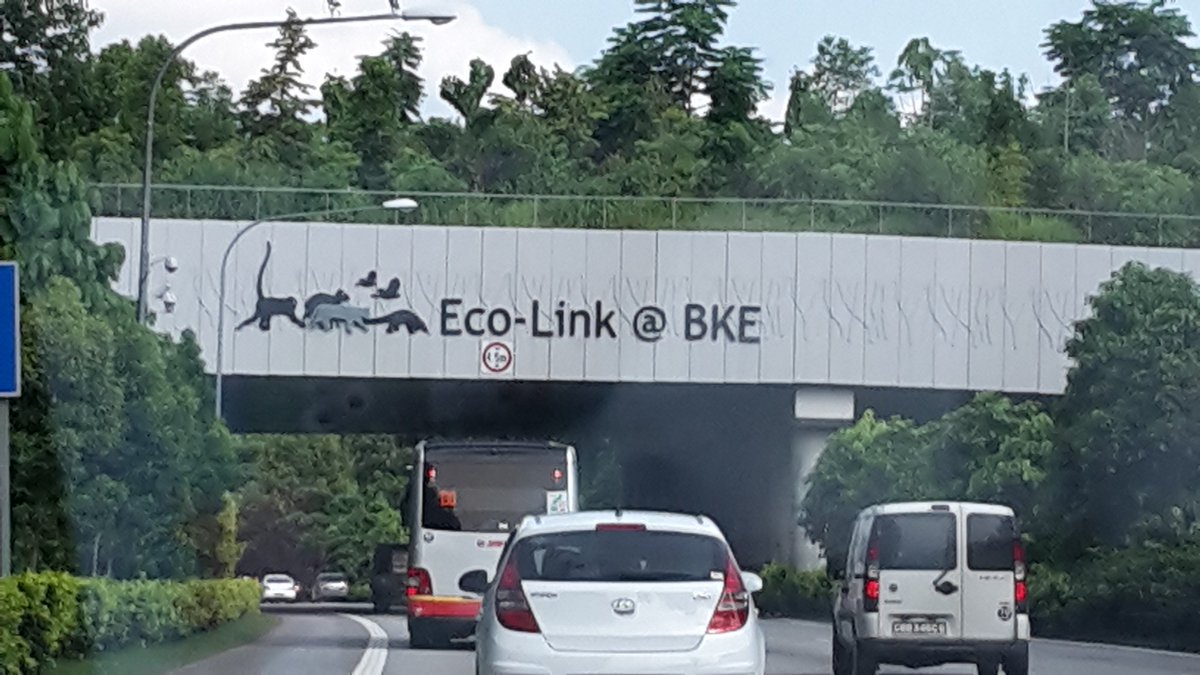 Anthony Pascoe tweet media