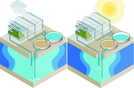Groentennieuws tweet media