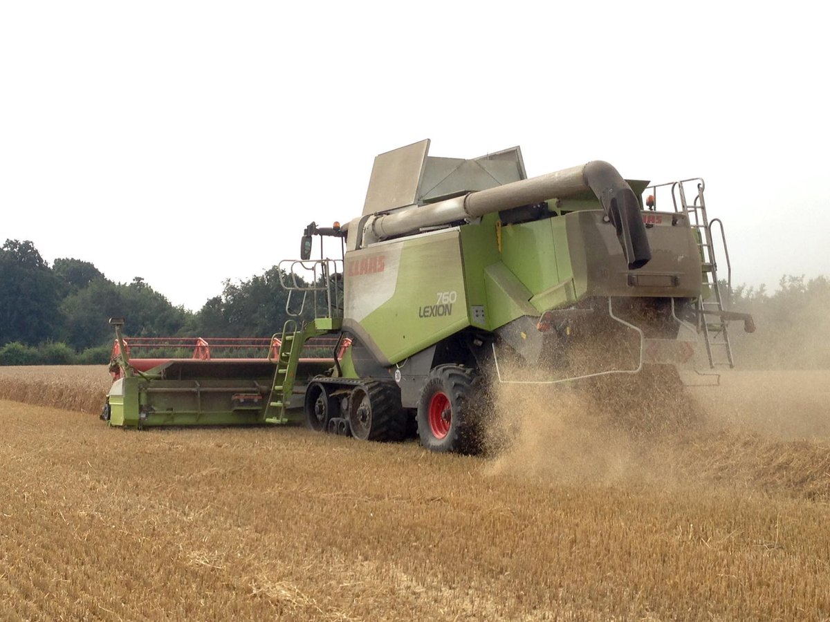 The Isle Estate tweet media