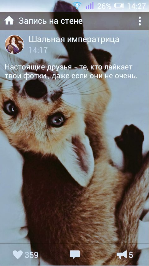 Ха