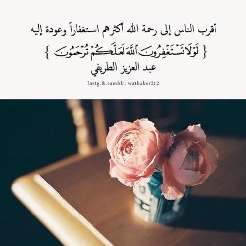 استغفر الله الذي لا إله إلا هو الحي القيوم واتوب اليه 🌸