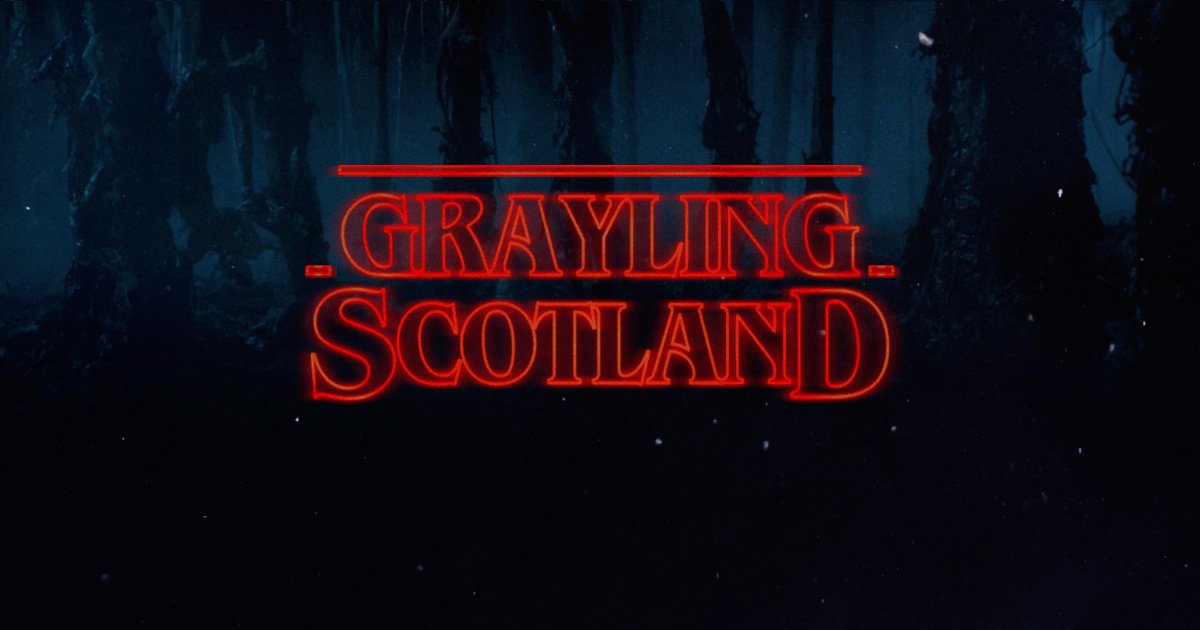 GraylingSCOT's tweet photo. Consider the bandwagon truely jumped on #strangerthings #graylingscotland https://t.co/GD3tNdaExm
