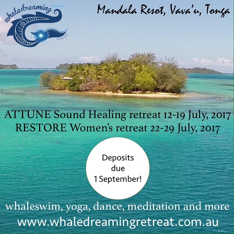 judithcantor's tweet photo. Come swimming w humpbacks on retreat in #tonga! Deposits due 2 weeks &amp; rest 31/5 🐋https://t.co/jxlo2n2aiI https://t.co/gwcUd6Bzfk