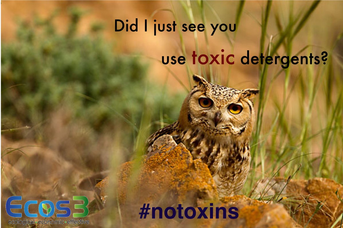 Ecos3Product's tweet photo. Be smart. Don't use detergents that can harm you or the environment. 
#notoxins #safetheplanet #ecofriendly https://t.co/mk4XnKmbll