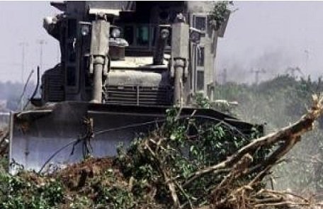 Israeli Soldiers Uproot Palestinian Lands In Bethlehem dlvr.it/M3gdmc