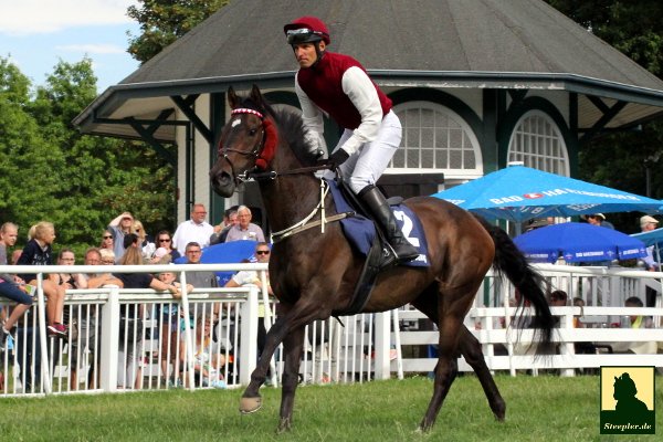 Spannende Hindernisrennen in Övrevoll heute. Kann Calvados Somerville und Hot Wing schlagen? <a href="/niklas_loven/">Niklas Lovén</a>