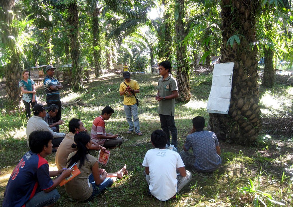 BASF's tweet photo. BASF, @Henkel and @Solidaridadnetw support around 5,500 #smallholders in #Indonesia https://t.co/WHMFzW03fX https://t.co/iUUdqUFZXu