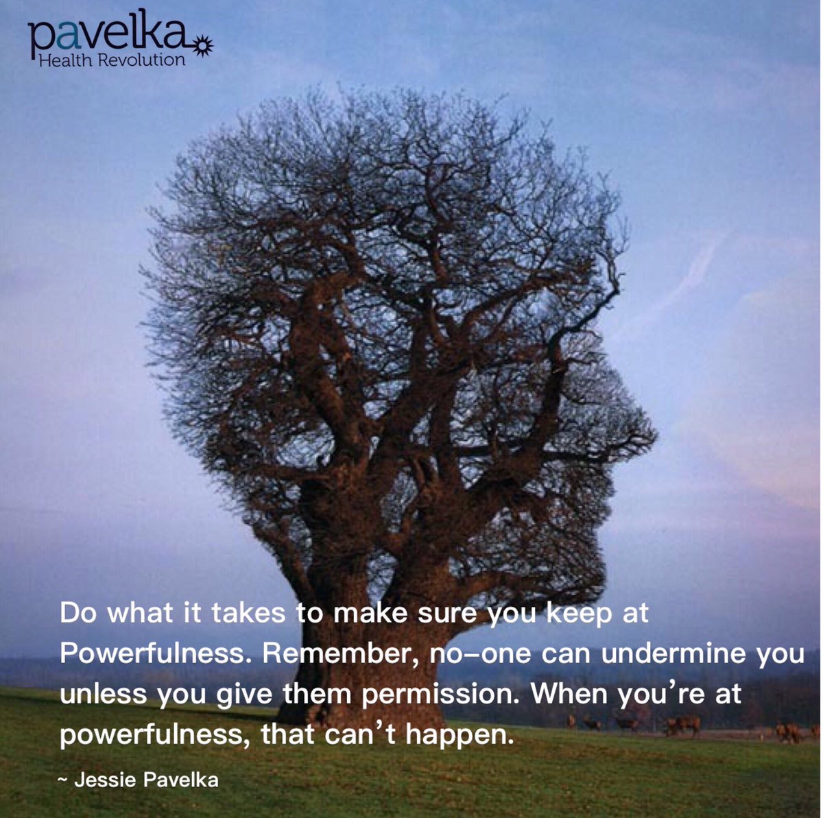 PavelkaWellness's tweet photo. #connect #powerfulness #keepyourpower
https://t.co/u3OEgmLwI0 https://t.co/Ag2NkDC4il