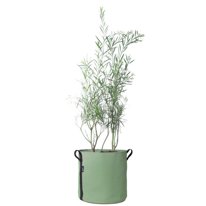 codeinedeco tweet media