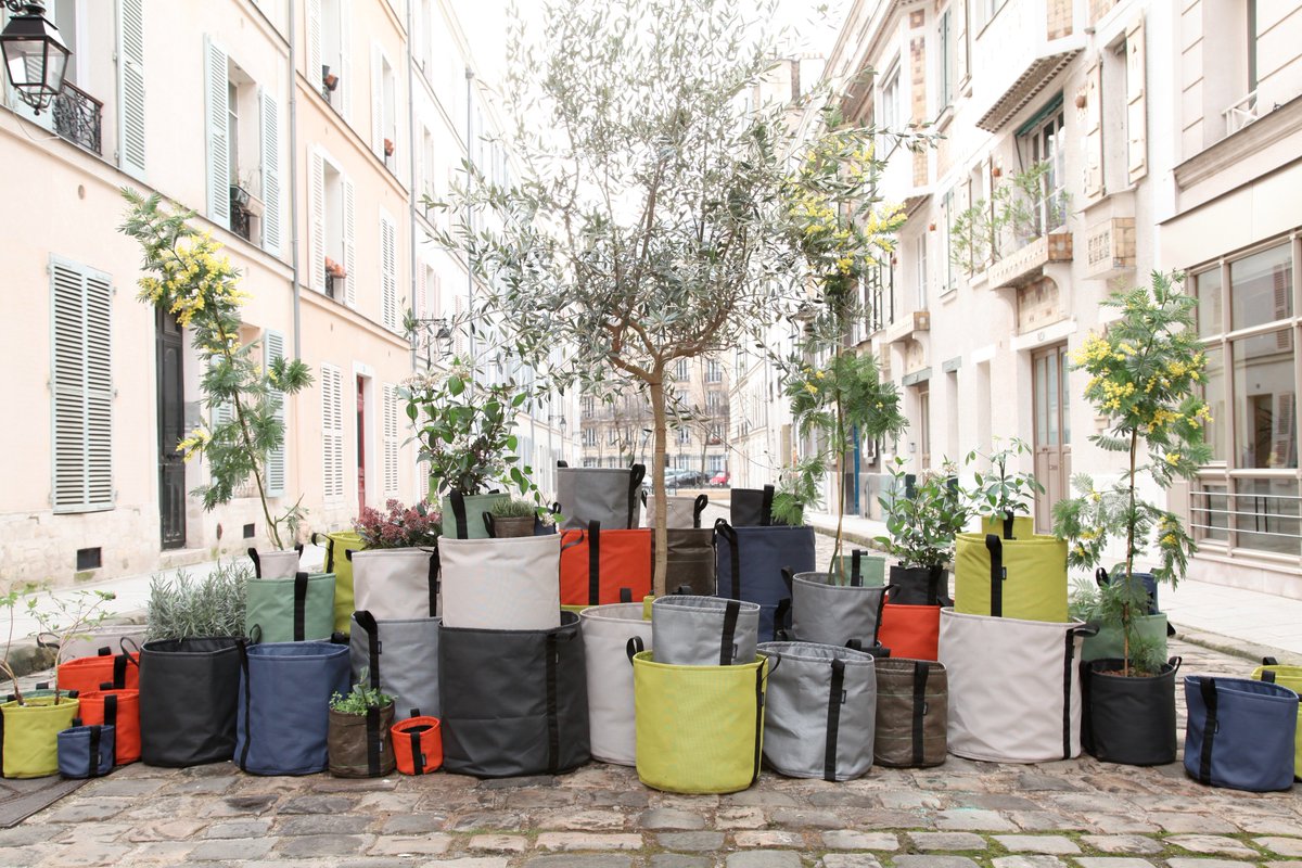 codeinedeco tweet media