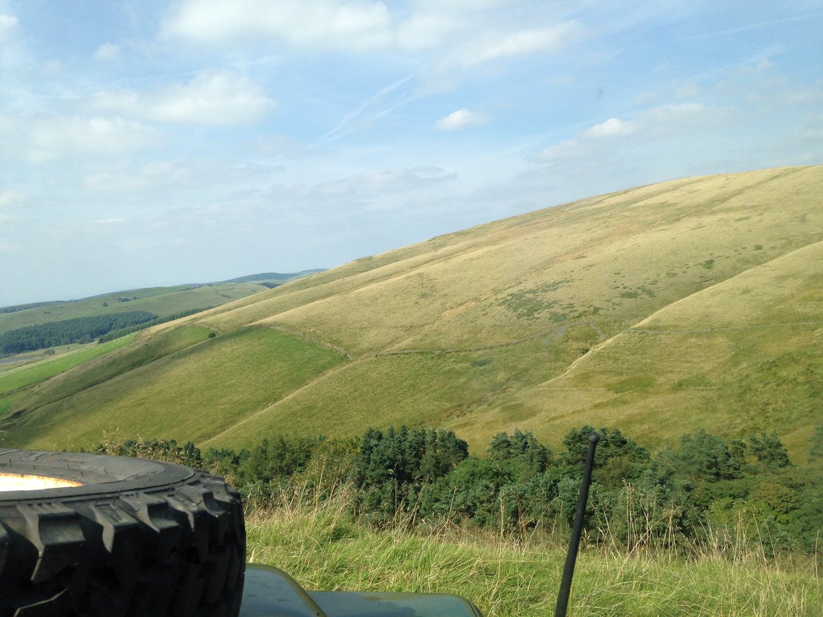 Rhys Wilson tweet media