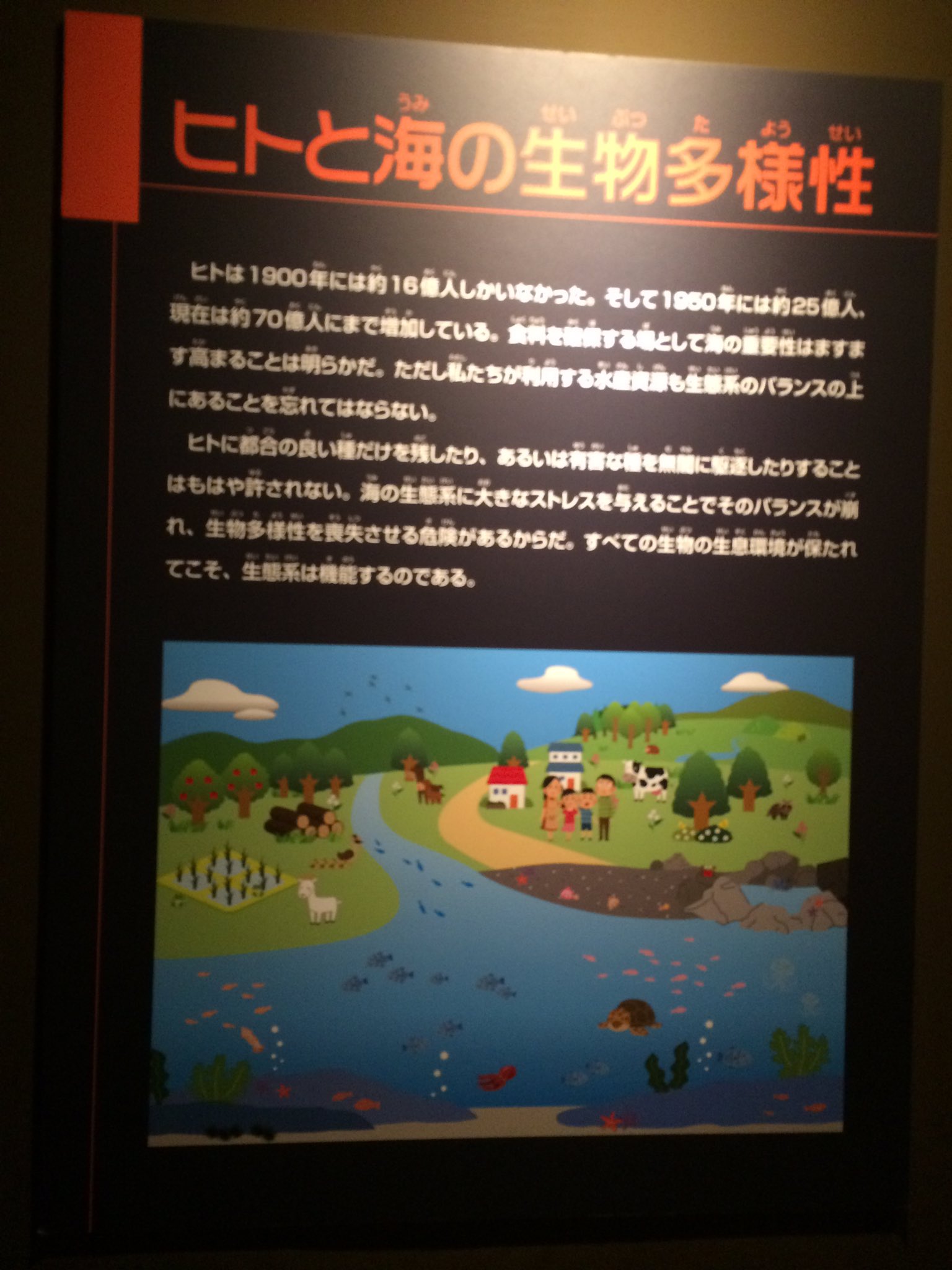 ぬまがさワタリ 海のハンター展 最後の解説パネルのイラストがまさかの というよりナチュラルに いらすとや さんで なんかもう日本とかはとっくに支配されてるのかもな って思った いずれはヒトも海も 全てがいらすとやさんに支配されるのだろうか