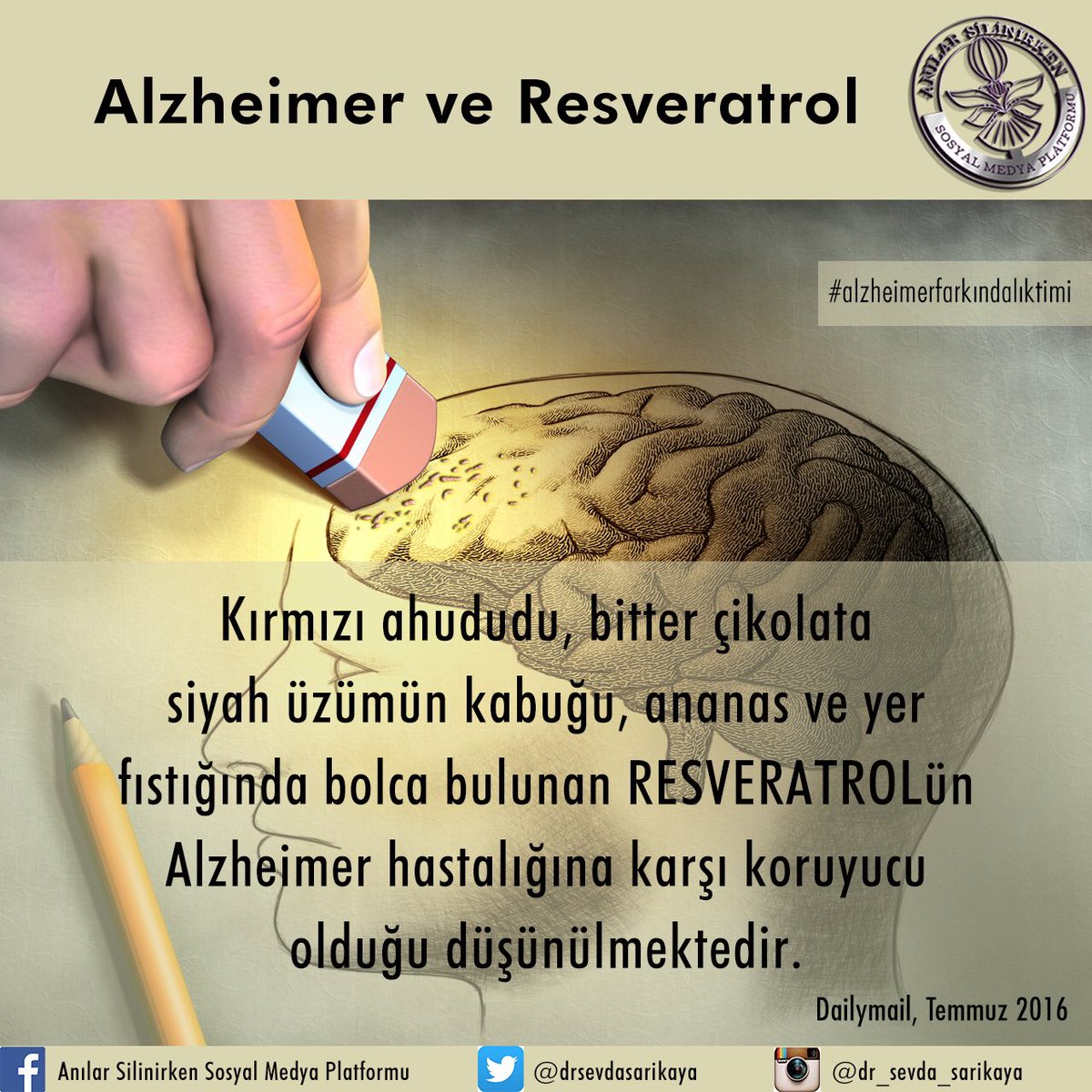 #alzheimer hastalığına karşı koruyucu olduğu düşünülen faktörlerle ilgili bilgi paylaşımlarına devam. #dailymail2016