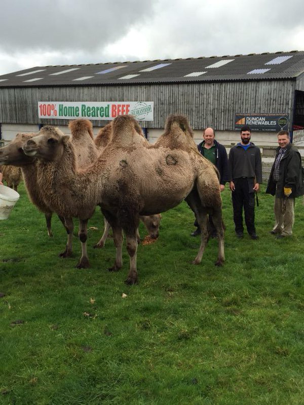 Mainsgill Farm Shop (@mainsgill_farm) on Twitter photo #ThrowbackThursday to last year's #farm24! What is everyone upto today? <a href="/FarmersGuardian/">Farmers Guardian</a> #farming #mainsgillfarm #ThrowbackThursday to last year's #farm24! What is everyone upto today? <a href="/FarmersGuardian/">Farmers Guardian</a> #farming #mainsgillfarm