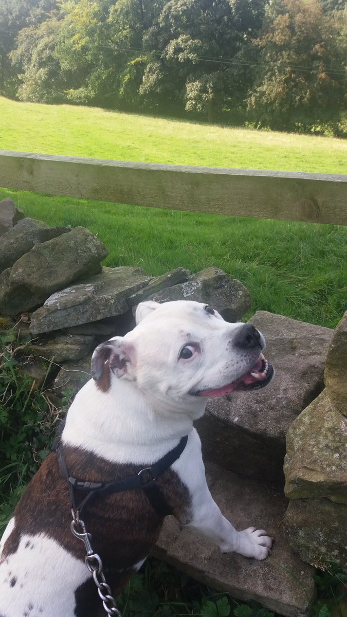 McGuinn 🌍 tweet media