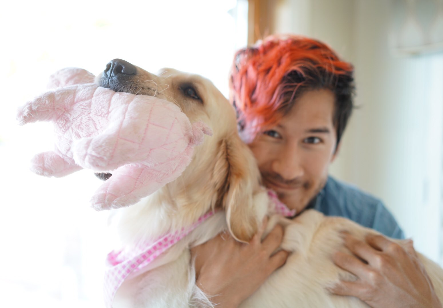 Markiplier on Twitter "we gots each other https//t.co/3Z3ihnZ7Vy"