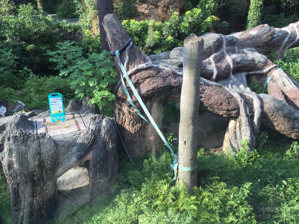 あつろ〜 tweet media