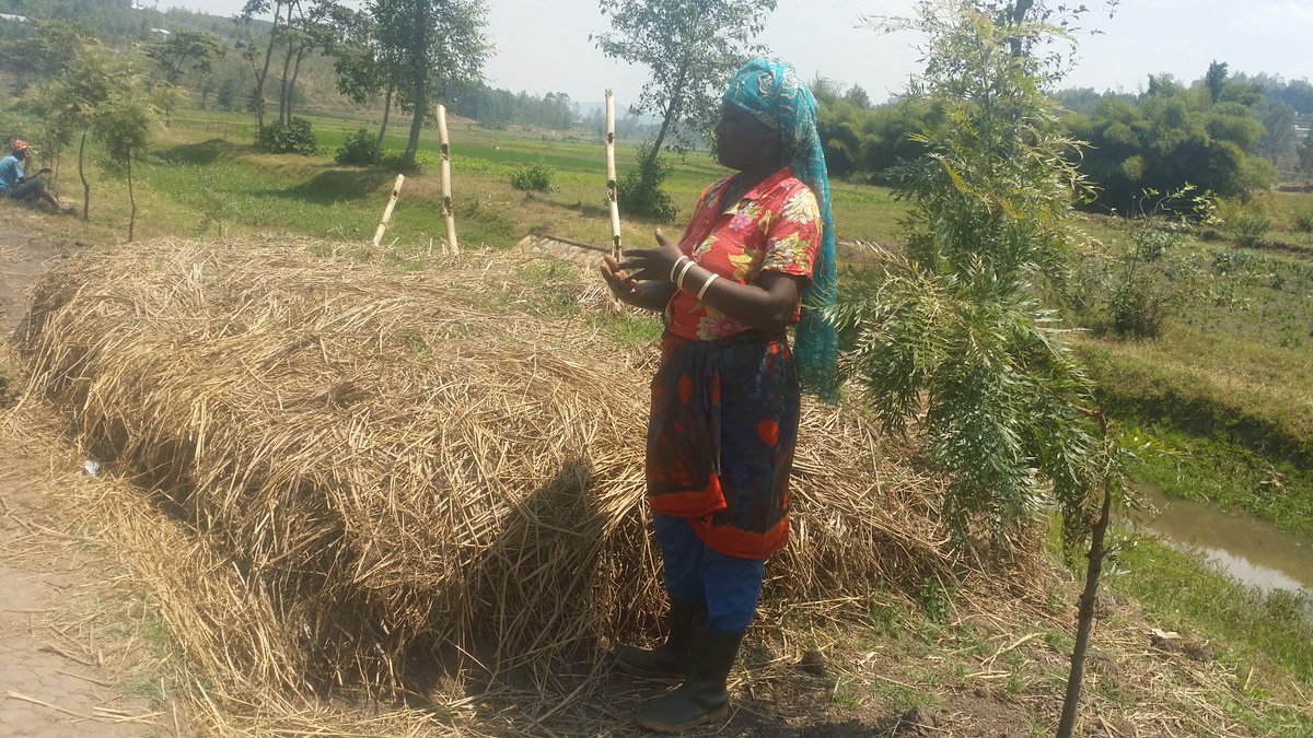 WHH_Rwanda's tweet photo. WHH RWANDA visited 2day activities of the local partner #DUHAMIC ADRI in Rugeramigozi...Progress quite interesting.. https://t.co/W0qY859xmc
