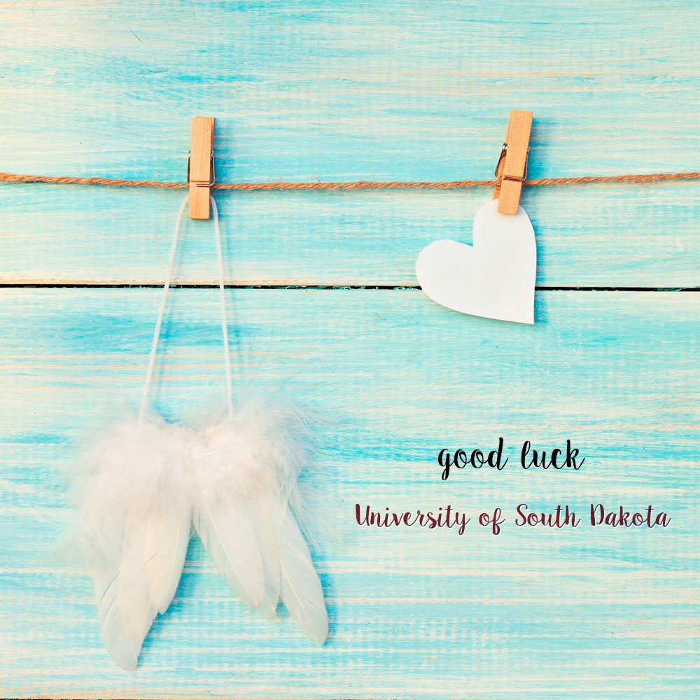 Hey <a href="/SDPiBetaPhi/">SD Alpha Pi Beta Phi</a>! It's almost time to meet your new, awesome sisters! #GoPiPhi