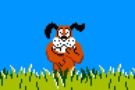 okokugaming's tweet photo. RT si toi ausi tu as envie de tordre le coup de ce chien chaque fois que tu vois cette image :) https://t.co/WPswYadaZo