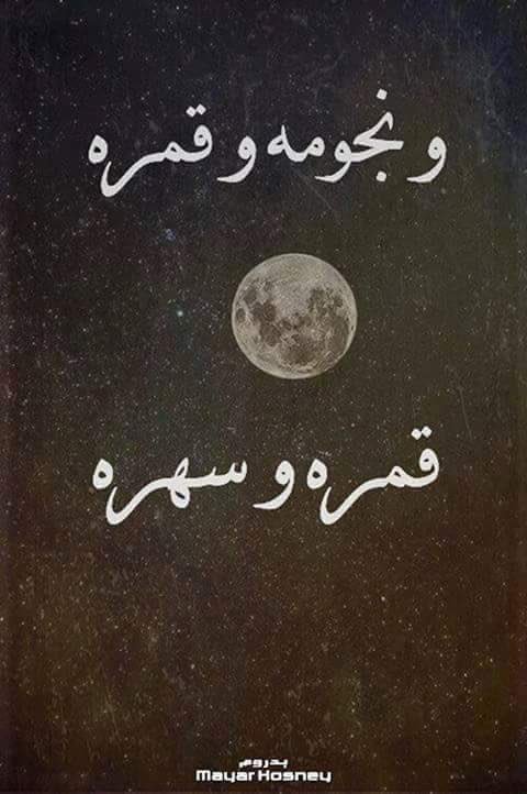EslamAsalya's tweet photo. ❤️❤️ https://t.co/kuC9DIJYLn
