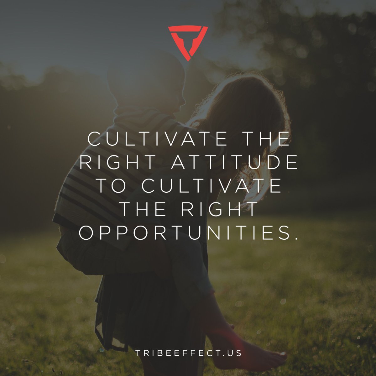 tribeeffect's tweet photo. Cultivate the right attitude to cultivate the right opportunities. #tribeeffect #mindset https://t.co/3peT3OcUtF