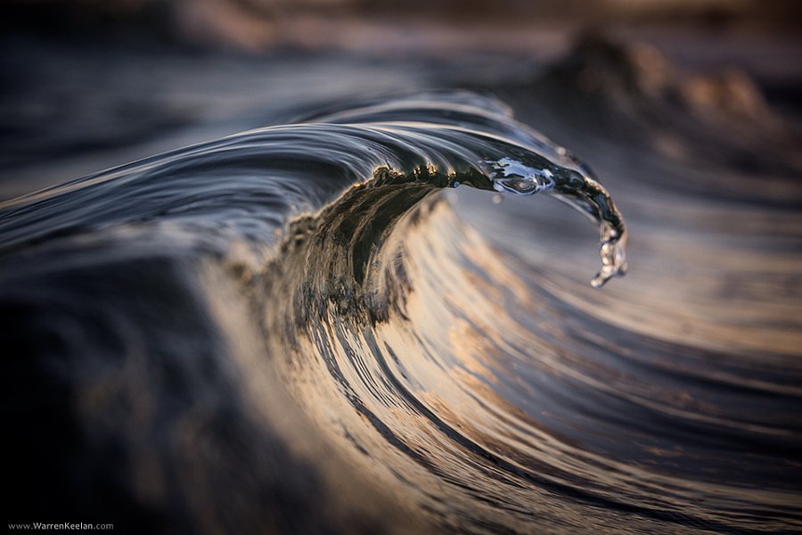 AbhishekG001's tweet image. Sea Snake by Warren Keelan
#photo #photos #pic #TagsForLikes #picture #pictures #snapshot #art #beautiful #instagood