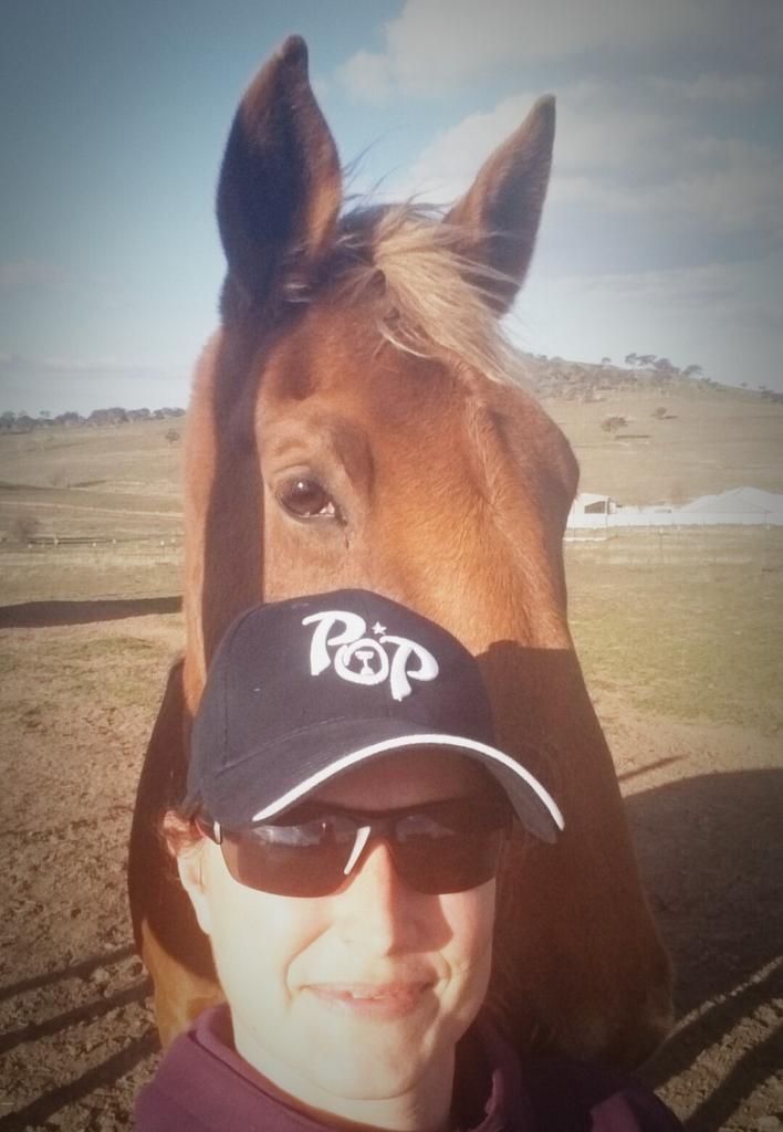 livinghorses's tweet photo. Love my #2015melbournecupwinner #princeofpenzance cap I designed. ty :-) #logodesign #equinedesign @EquineCreatives https://t.co/hVBAOPlzI2
