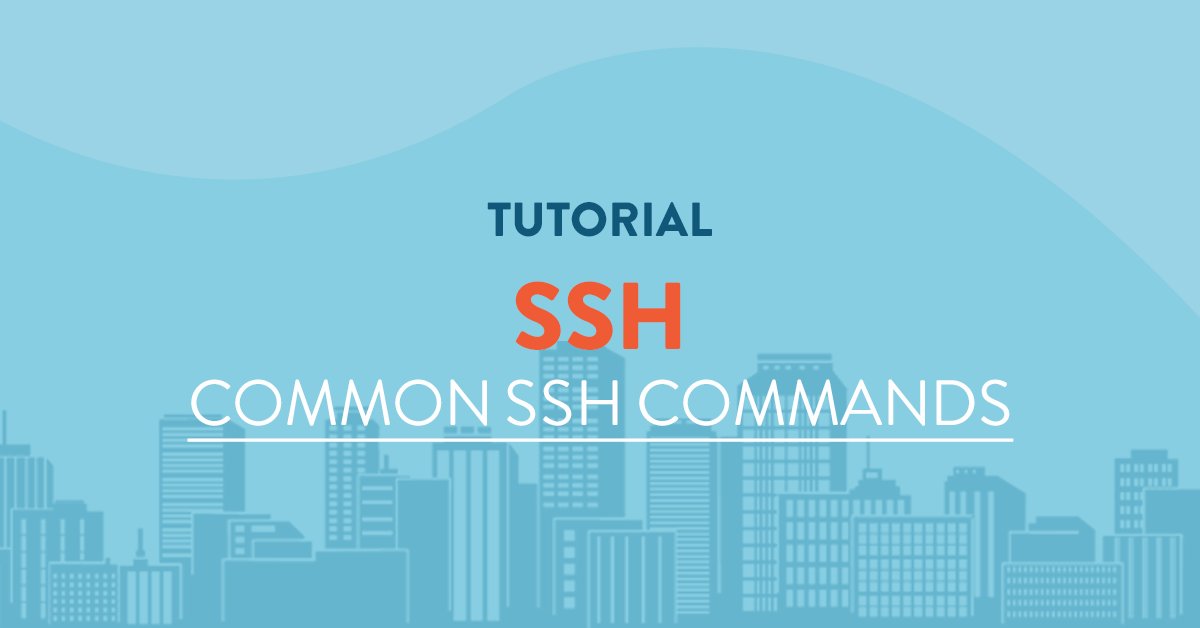 vpsservercom's tweet image. Use these most common SSH commands on your VPS Server.

vpsserver.com/community/tuto…