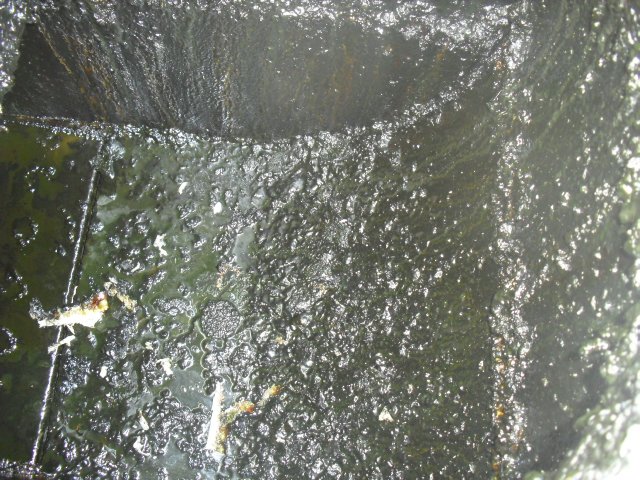 dcsblackpool's tweet image. Indian Takeaway cleaned for the 1st time, hopefully it won't be as bad next year.
@dcsblackpool #kitchen #Blackpool