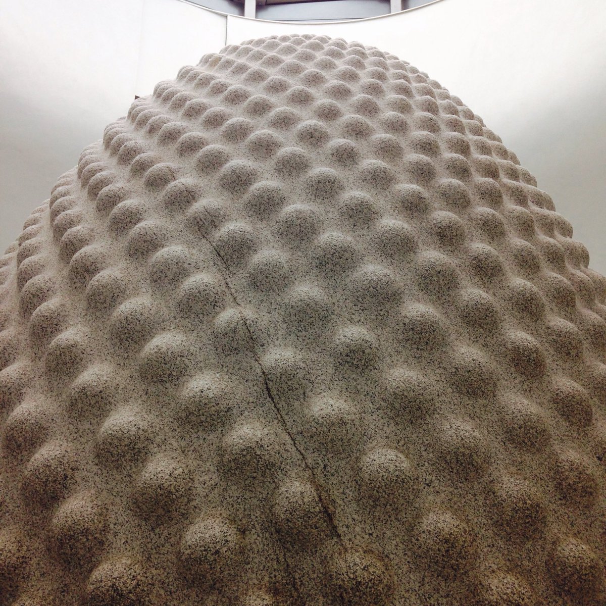 el_l's tweet photo. Amazing day at #edenproject #edenphotocomp https://t.co/2vgxV4dzy0