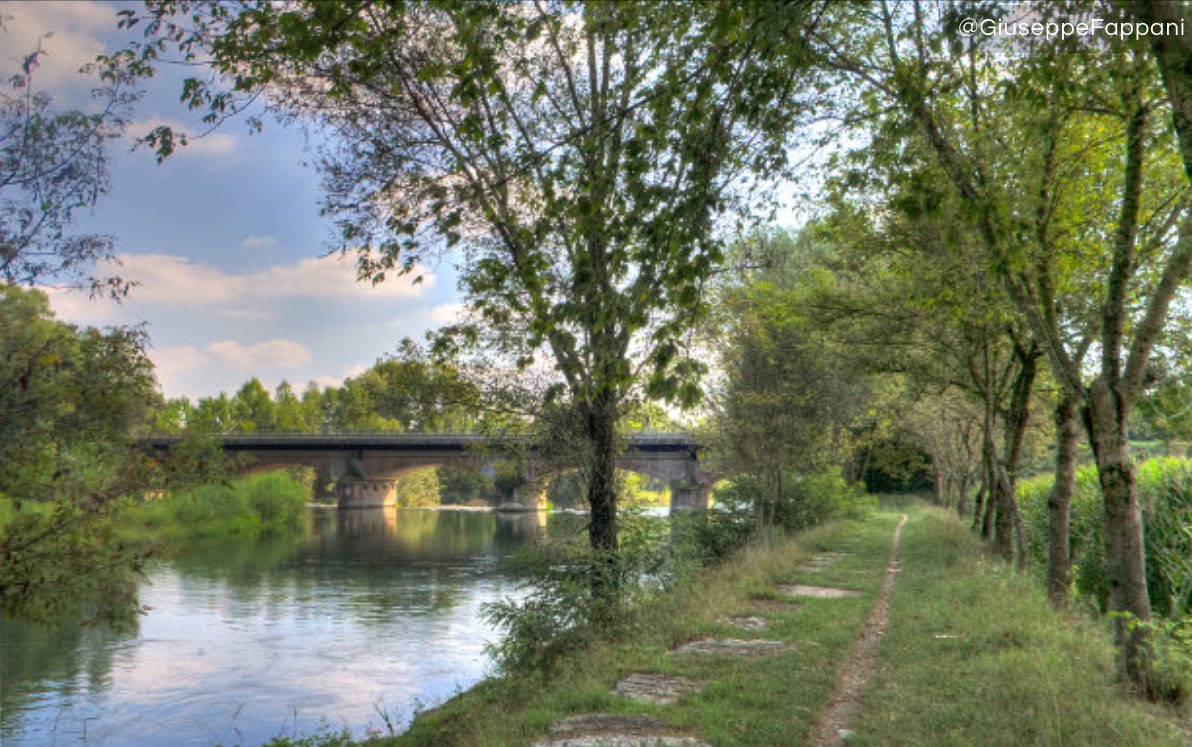 Vanessa Ferrari from Brescia Orzinuovi ain #Rio2016 emotional and it moves you.. Parco Oglio Nord #inLombardia #ita