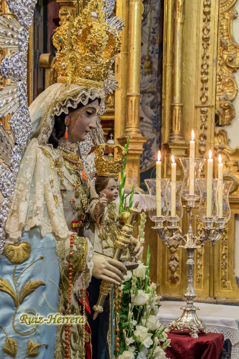 Besamanos 15 de Agosto. Festividad de la Asunción. Fotos: Jose Ignacio Ruiz-Herrera