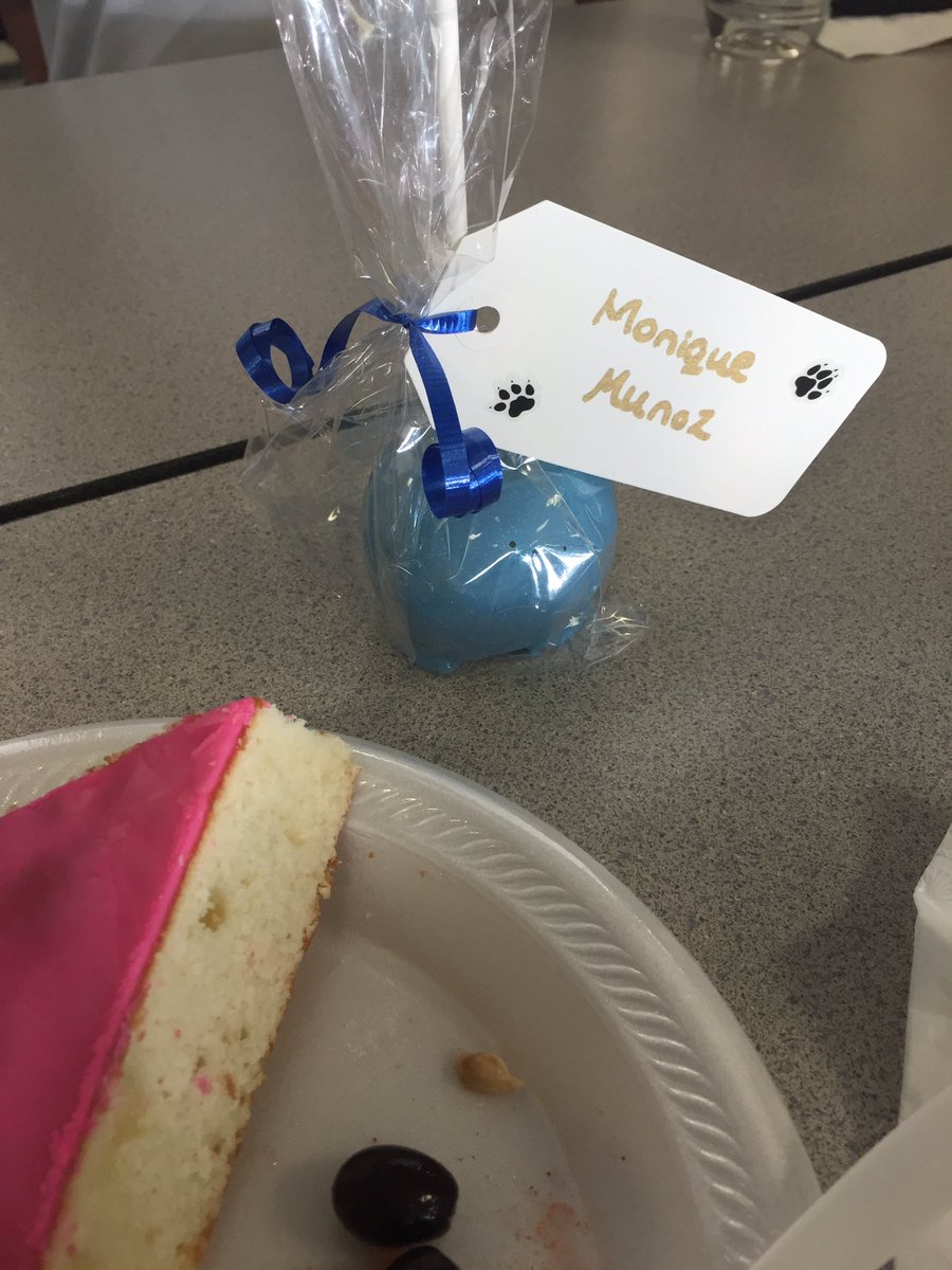 CHS_FineArt's tweet photo. Best student council! Blue cand Apple! #2016CarrollTigerProfessionalDevelopment https://t.co/7Ls5gSeD8R