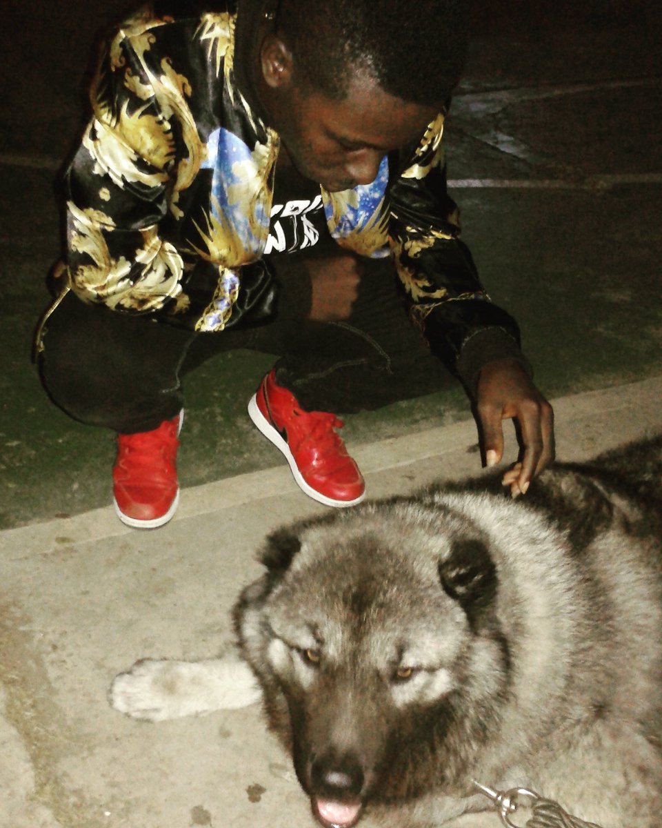 CmMisty1's tweet photo. Luvly...bestie #lexmacarthy #dogsoftwitter #dogs #dog #Rio2016 #teamsark #itztiffanymusic https://t.co/SY2w7e8kuO