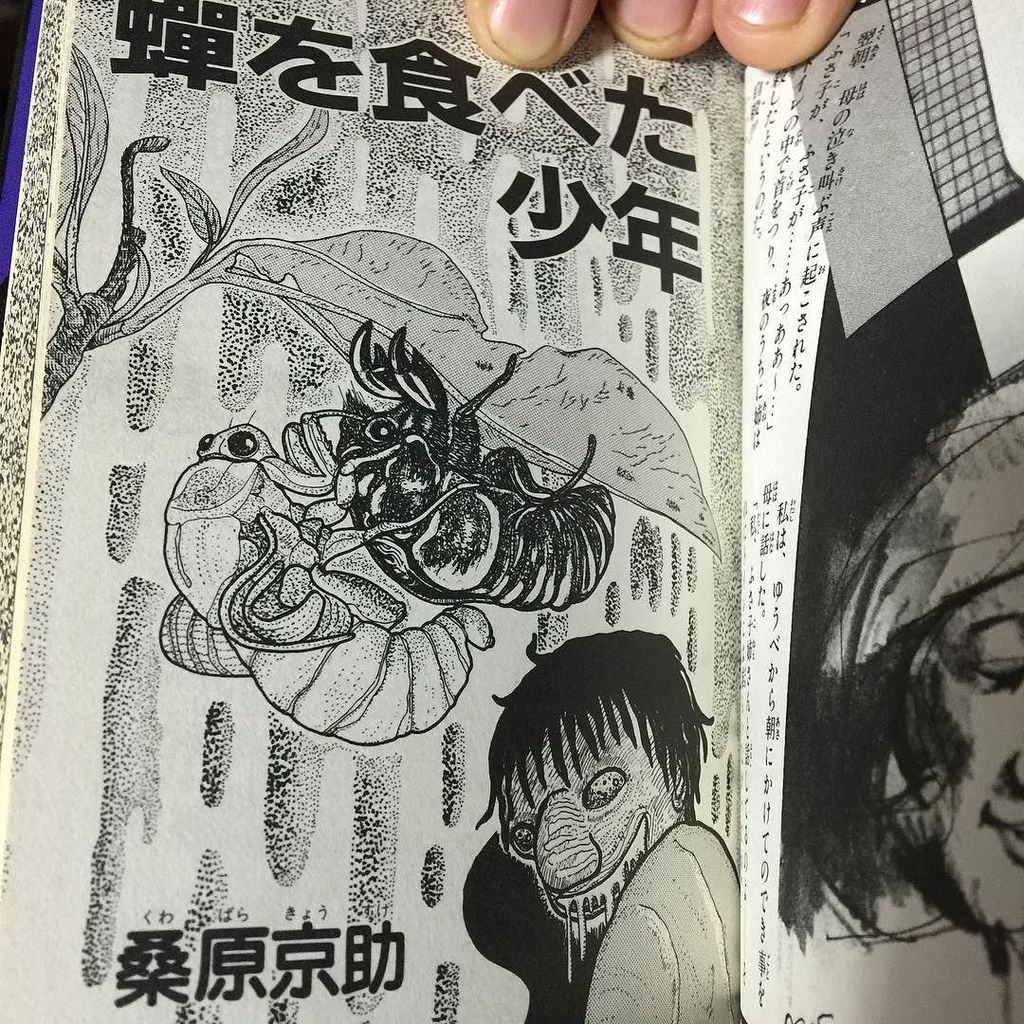 蝉を食べた少年 蝉を食べた少年