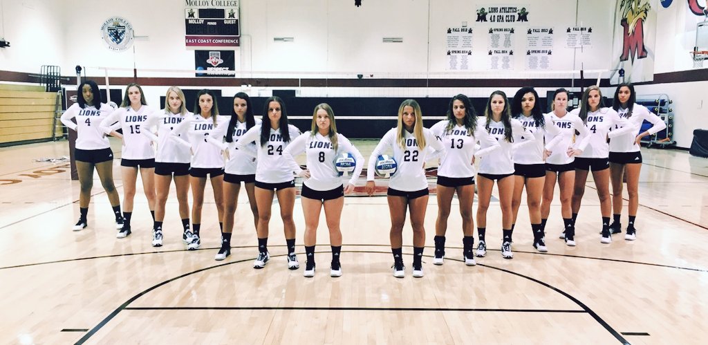 Molloy College VB tweet media